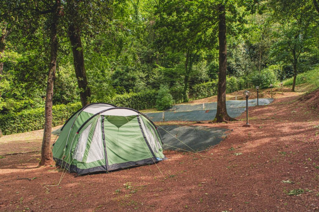 51b5544d-ab0d-4522-91ad-dac8ab4e1632