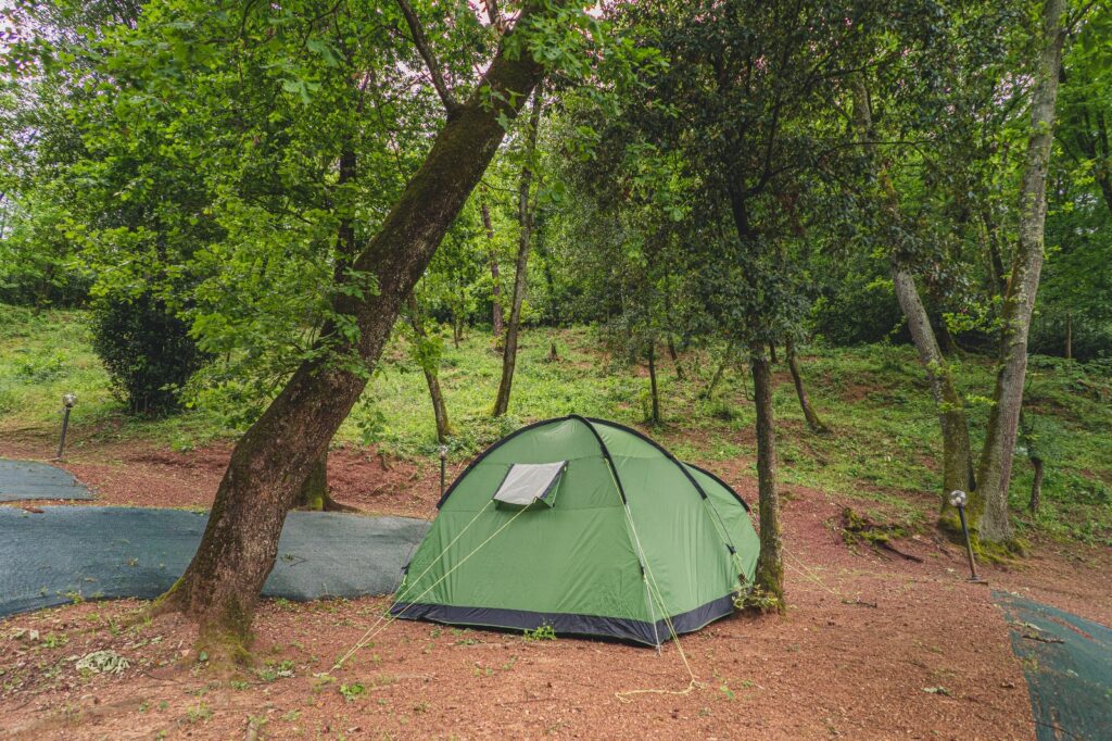 858e23a4-ac34-408f-9188-00d49c4661d6