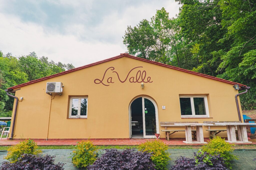 ba2cbe18-7ef0-4146-b186-f65014c4adcd