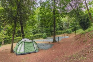 5839465c 65cc 45e0 b83e b02e2889df24