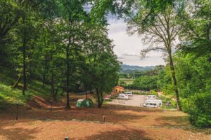 9e619e14 e2a1 4ca9 89a7 e56d1e9ca40b