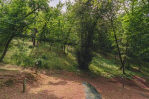 dfbbe040 0d8a 45a5 9846 743a1f77be9e